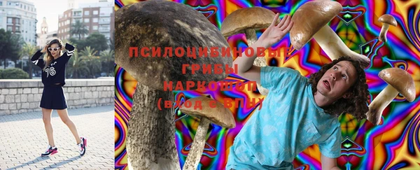 таблы Каменка