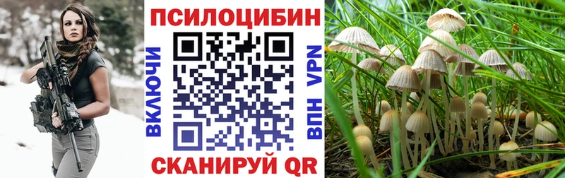 Псилоцибиновые грибы Psilocybe  как найти наркотики  Октябрьский 